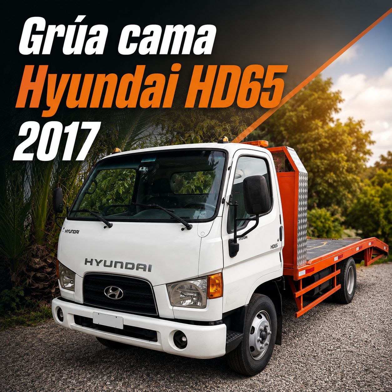 🔵 Hyundai HD65 – 2017 🔵