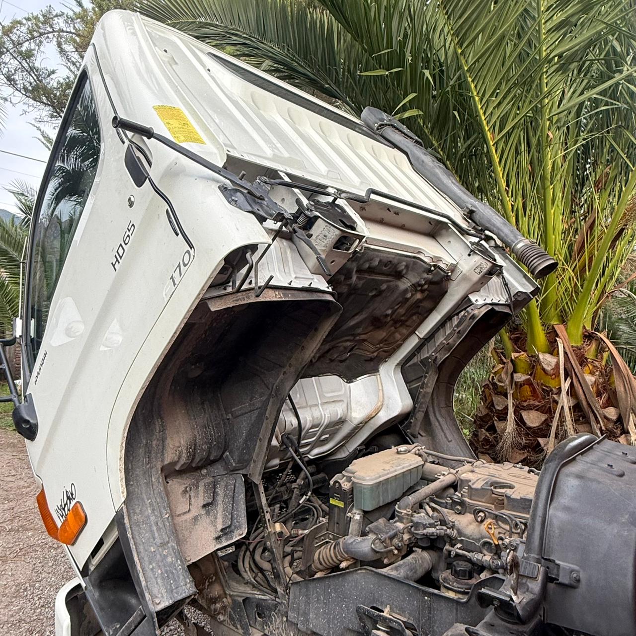 Hyundai Hd65 — foto 7 de 9