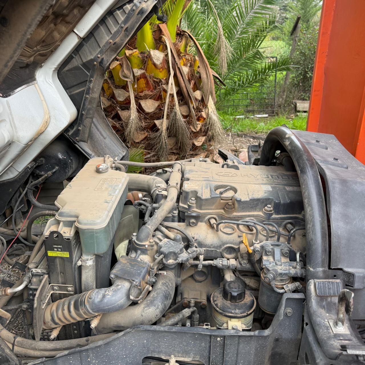 Hyundai Hd65 — foto 8 de 9